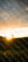 Wallpaper - Sunset