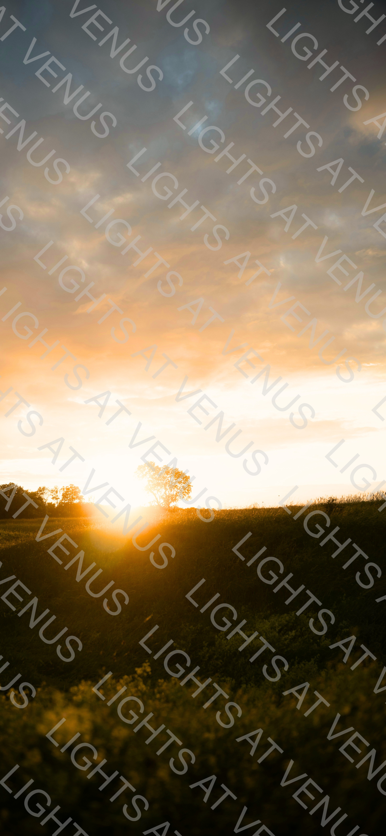 Wallpaper - Sunset