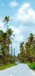 Wallpaper - Road to Paradise
