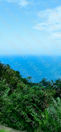 Wallpaper - Rainforest view of the Caribbean Sea