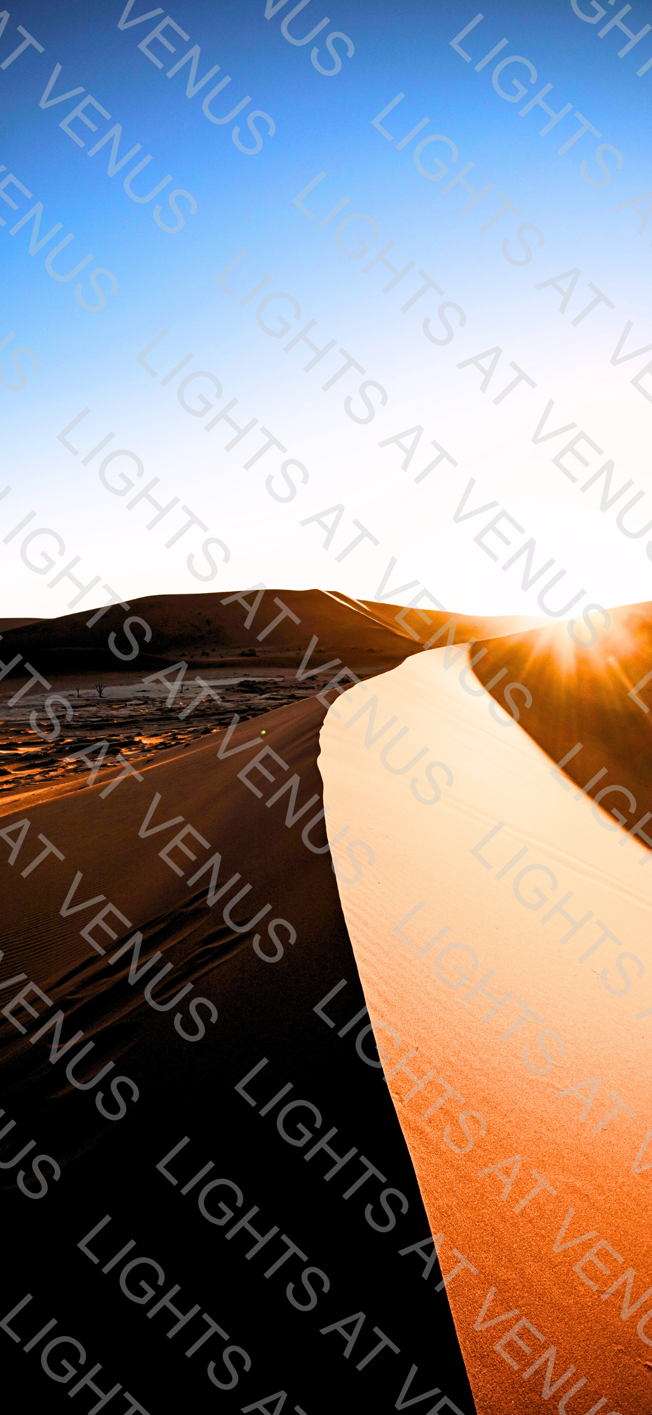 Wallpaper - Namibia Desert