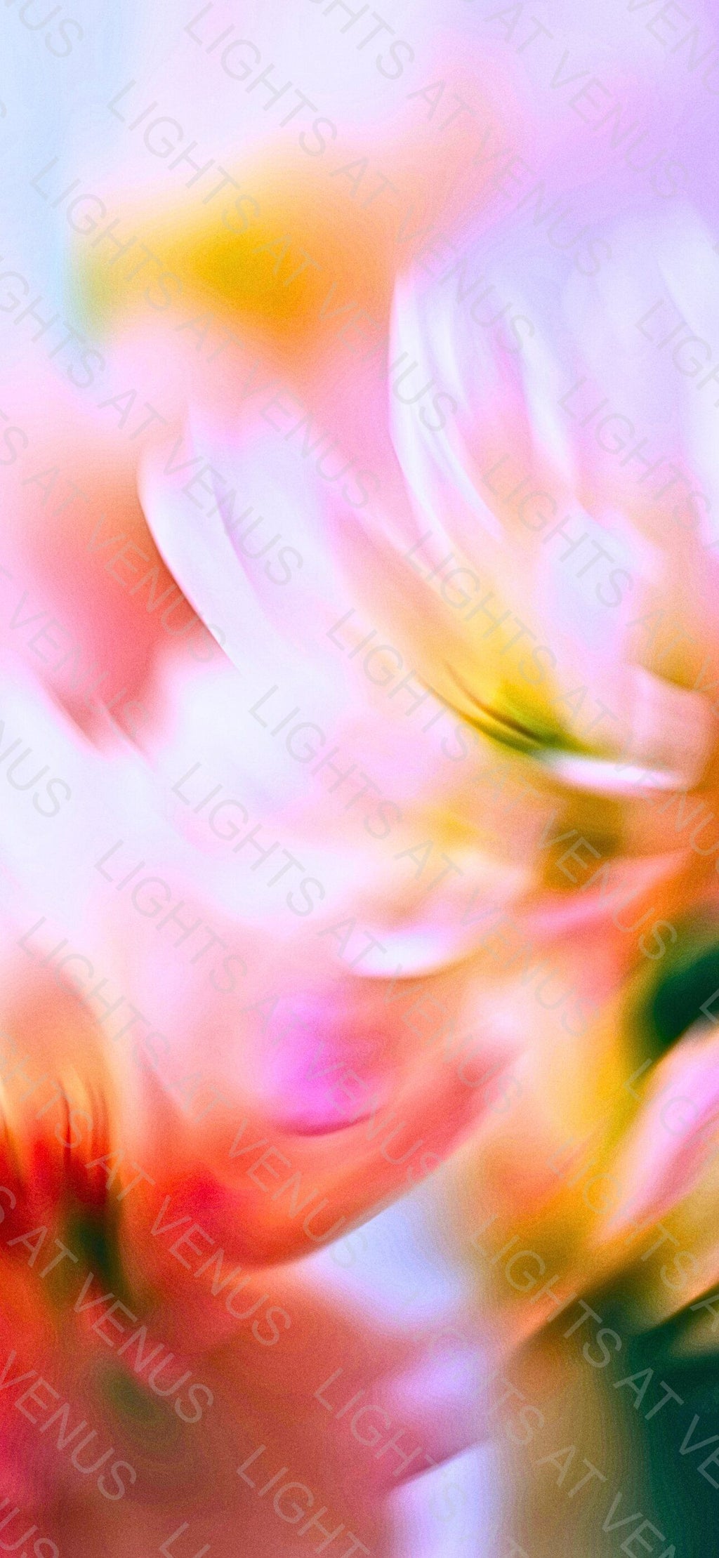Digital Wallpapers